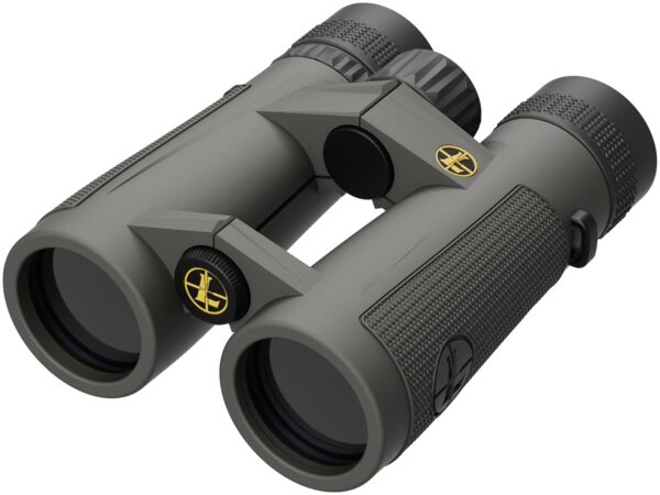 Leupold BX5 Santiam HD 10x42 Binoculars