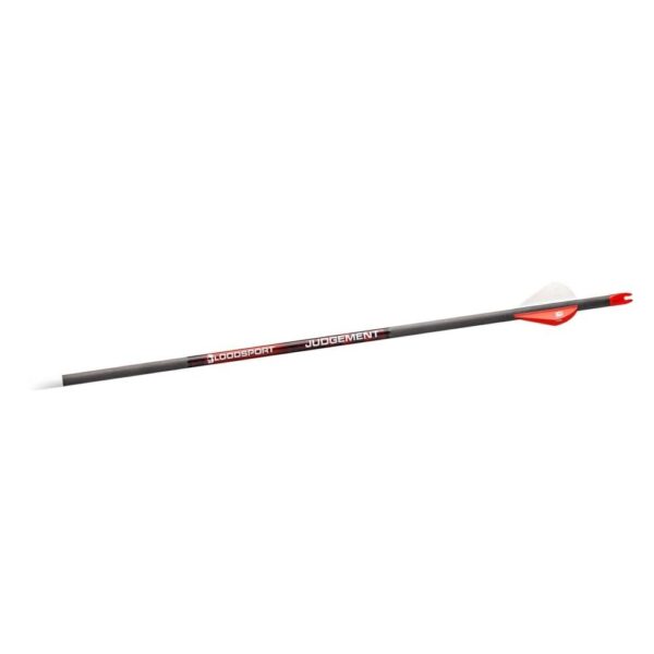 Bloodsport Judgement Arrow 350 Spine - 6 Pack