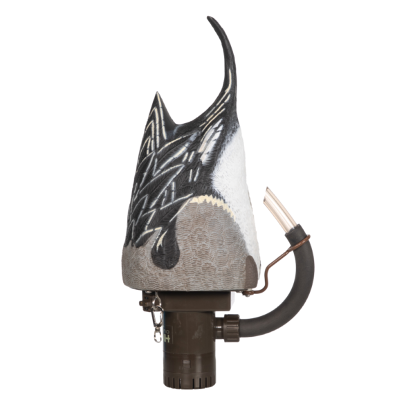 Higdon Motion Pulsator PRO Pintail