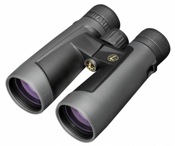 Leupold BX-2 Alpine HD 10x52 Binoculars - Gray