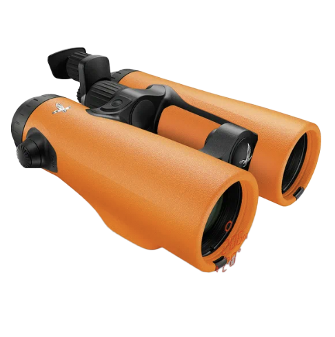 Optics & Sights