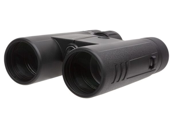 SIG SAUER BUCKMASTERS BINO 10X42 BLK